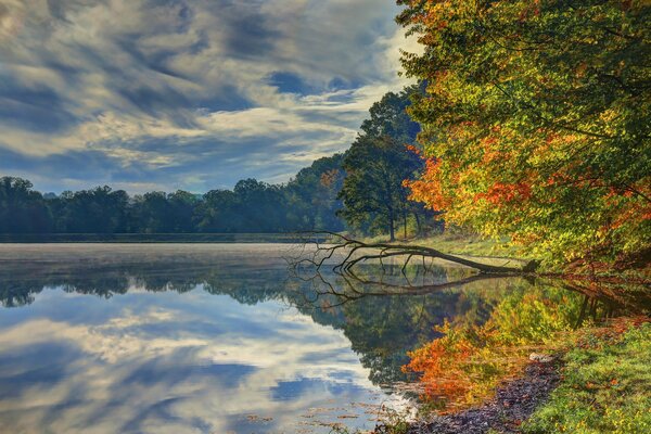 Naturaleza maravillosa en los colores del otoño