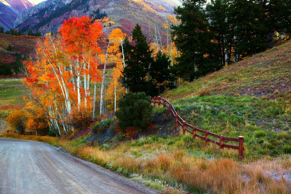 Route qui longe les arbres d automne