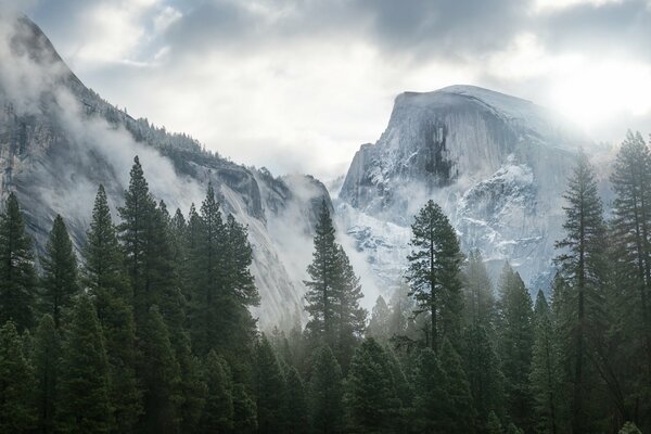 Snow-capped mountains in a dark forest