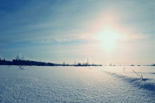 Nieve brillante al amanecer