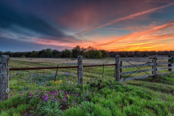 Schöner Sonnenuntergang auf einem Feld mit einem Zaun