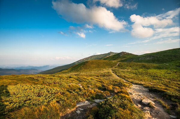 Natur in den Karpaten und Bergen der Ukraine