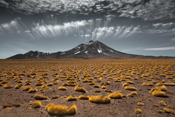 Beautiful view of the steppe with clouds