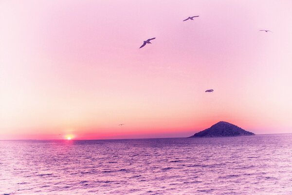 Paisaje. Amanecer rosa. Pájaros en el cielo