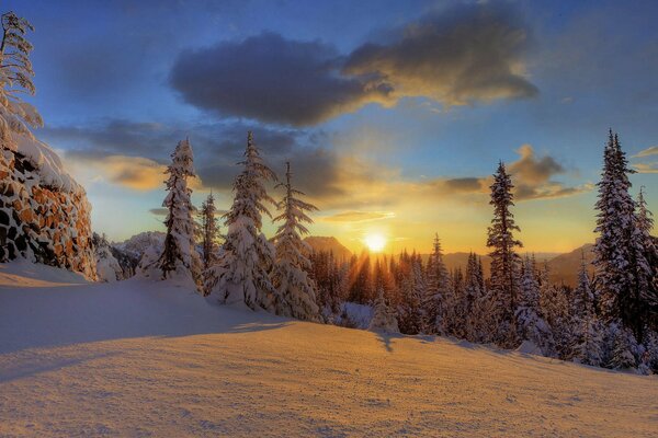 Parco nazionale in inverno al tramonto