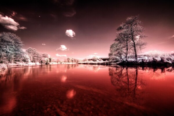 Paysage de lac enneigé dans la forêt