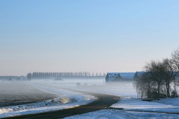 Photo brouillard hiver route champ