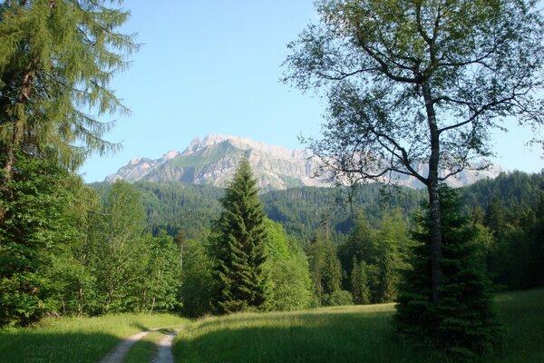 Paisaje verde de Suiza frente a la montaña