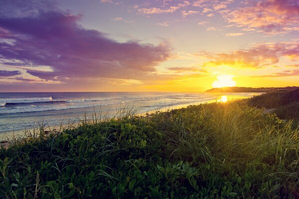 The first rays of the sun over the seashore