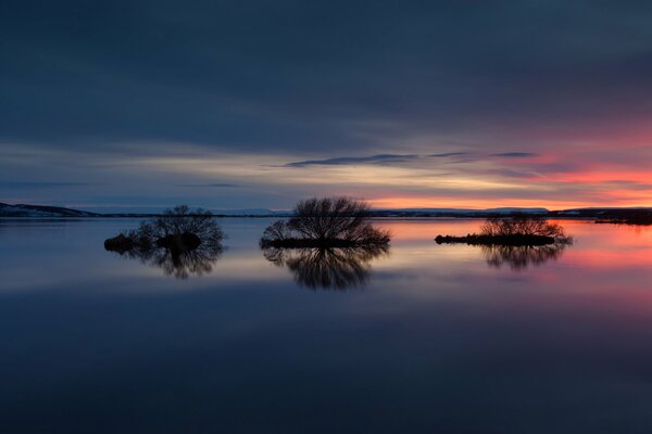 Die Bäume spiegeln sich im klaren See bei Sonnenuntergang wider
