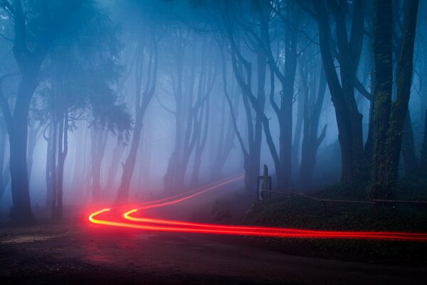 Feux rouges de la route de nuit