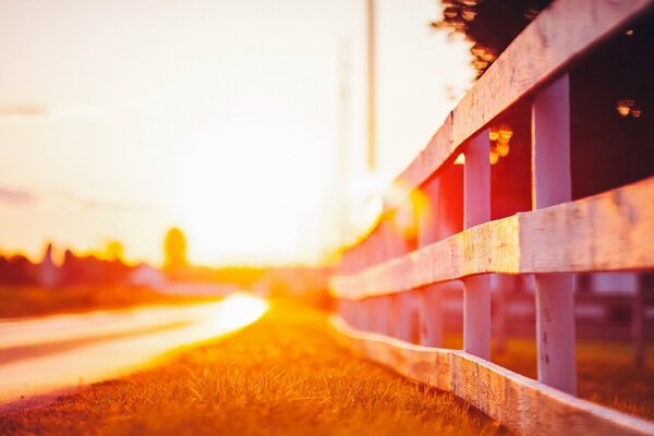Go to the light along the fence