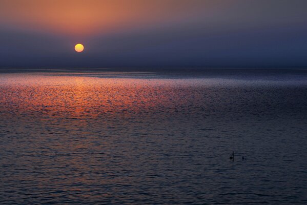 Il sole giallo sorge sul mare