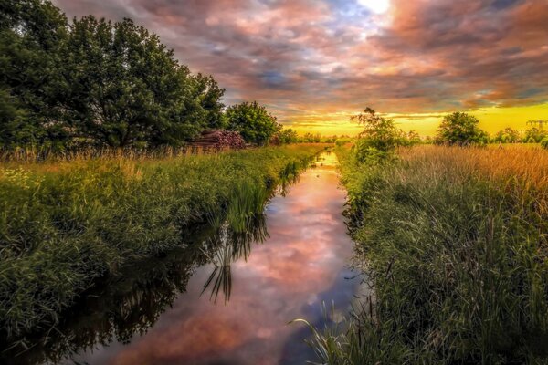 Bellissimo paesaggio del fiume nella foresta