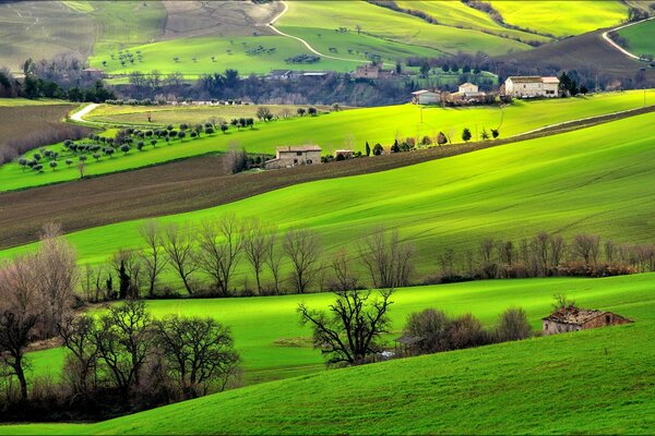 Hügel in Italien. Gras und Felder
