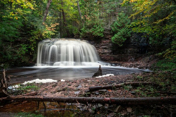 Cascada en un pintoresco bosque verde