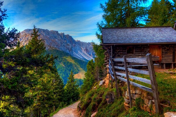Ein Haus inmitten der bunten Natur