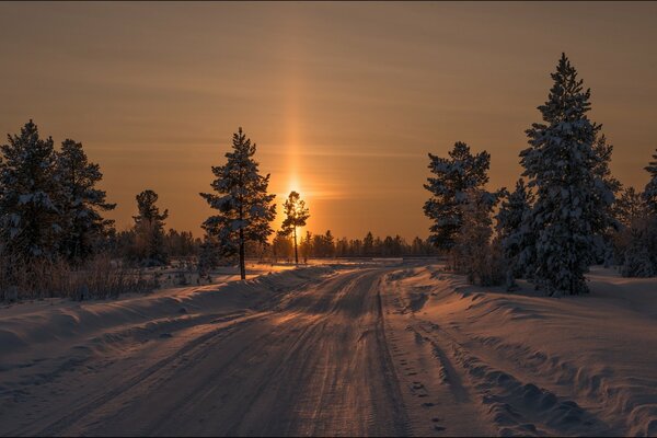 Fabuleux coucher de soleil d hiver avec des sapins