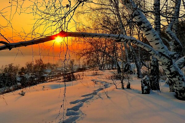 Nature beau coucher de soleil ciel
