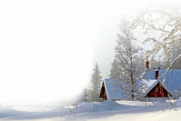 Casa de nieve en el bosque de Niza