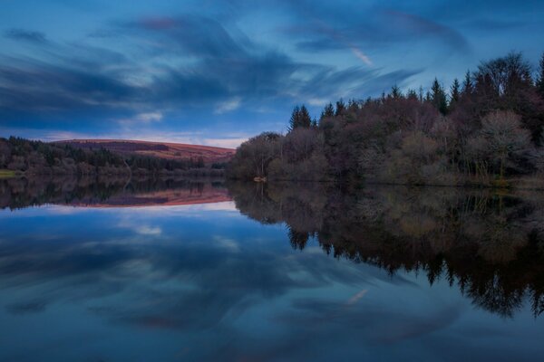 The blue dark sky is reflected in the lake surrounded by forest