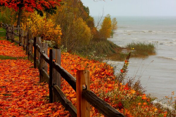 Herbstliche Traurigkeit am roten Ufer hinter einem Zaun