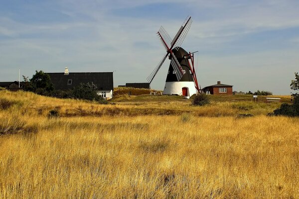 Windmühle auf der Wiese