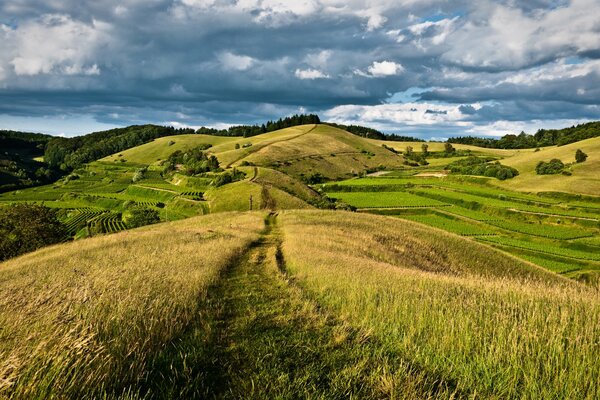 Low clouds over hills and meadows covered with grass