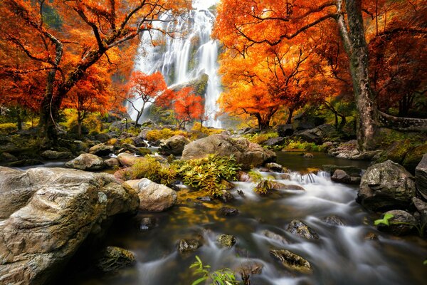 Autumn landscape with a beautiful forest waterfall