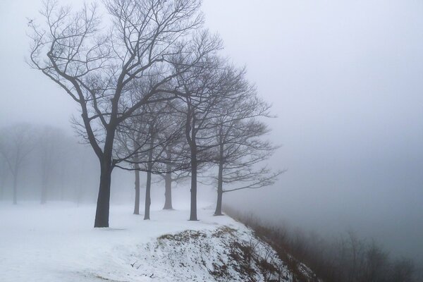 Winter with fog and snow