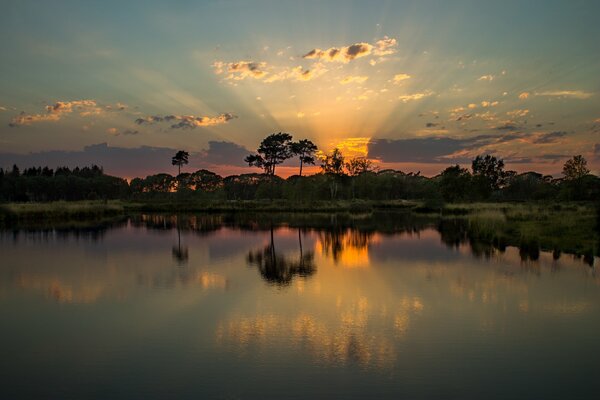 Lac parmi les arbres au coucher du soleil en été