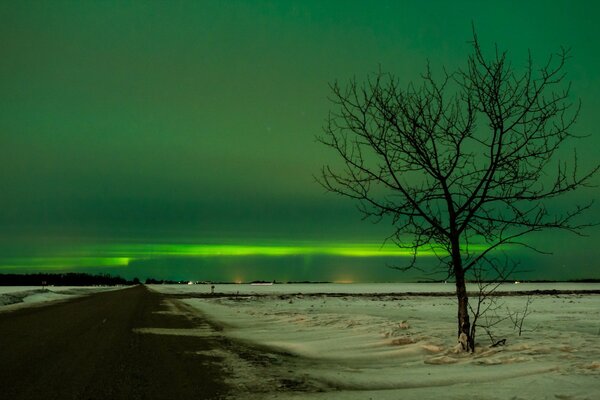 Bellissimo paesaggio della strada invernale