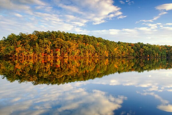Autumn reflections in the lake