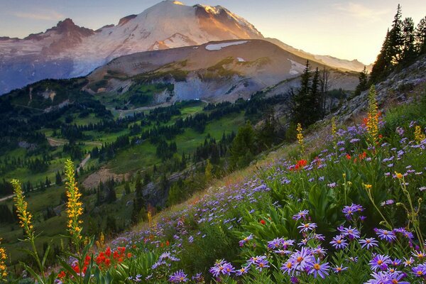 Nature calms and fills with strength