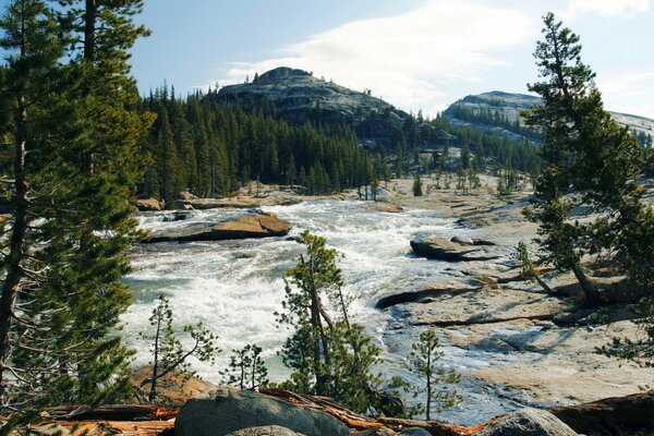 Nationalpark zwischen Bergen und Wäldern, Steinfelsen