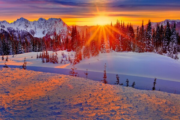Lever du soleil dans la forêt enneigée