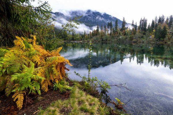 The amazing beauty of the nature of Switzerland