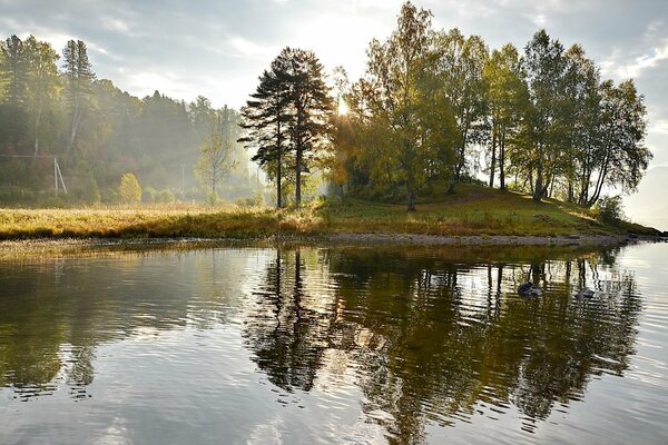 Trees are reflected in the water, landscape