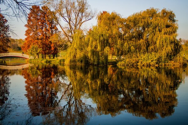 Parque de otoño cerca del estanque